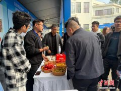 湖北党外知识分子服务地方发展供需对接活动首进高校